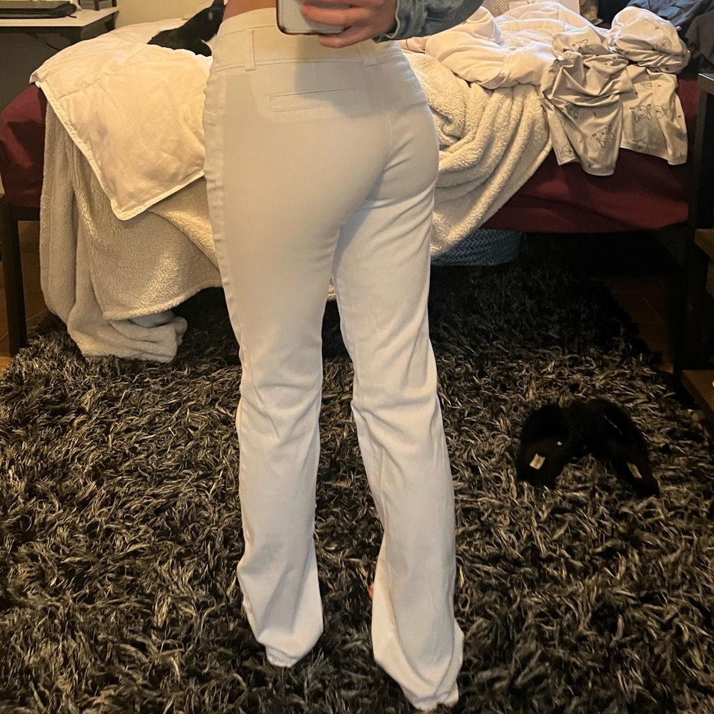 Low Waisted Dazz Pants